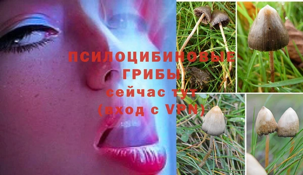 марки lsd Алзамай