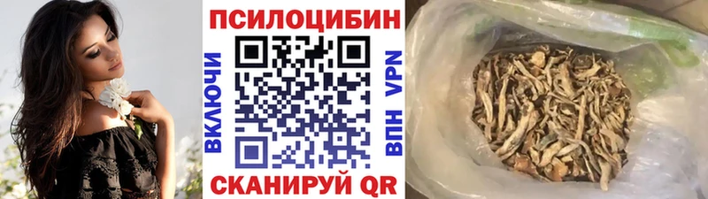 Псилоцибиновые грибы Psilocybine cubensis  Полтавская 